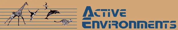 Active-Environments